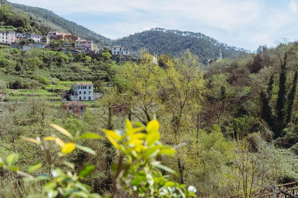 Residenza Nemus Mare E Montagna Apartment Graveglia Екстериор снимка